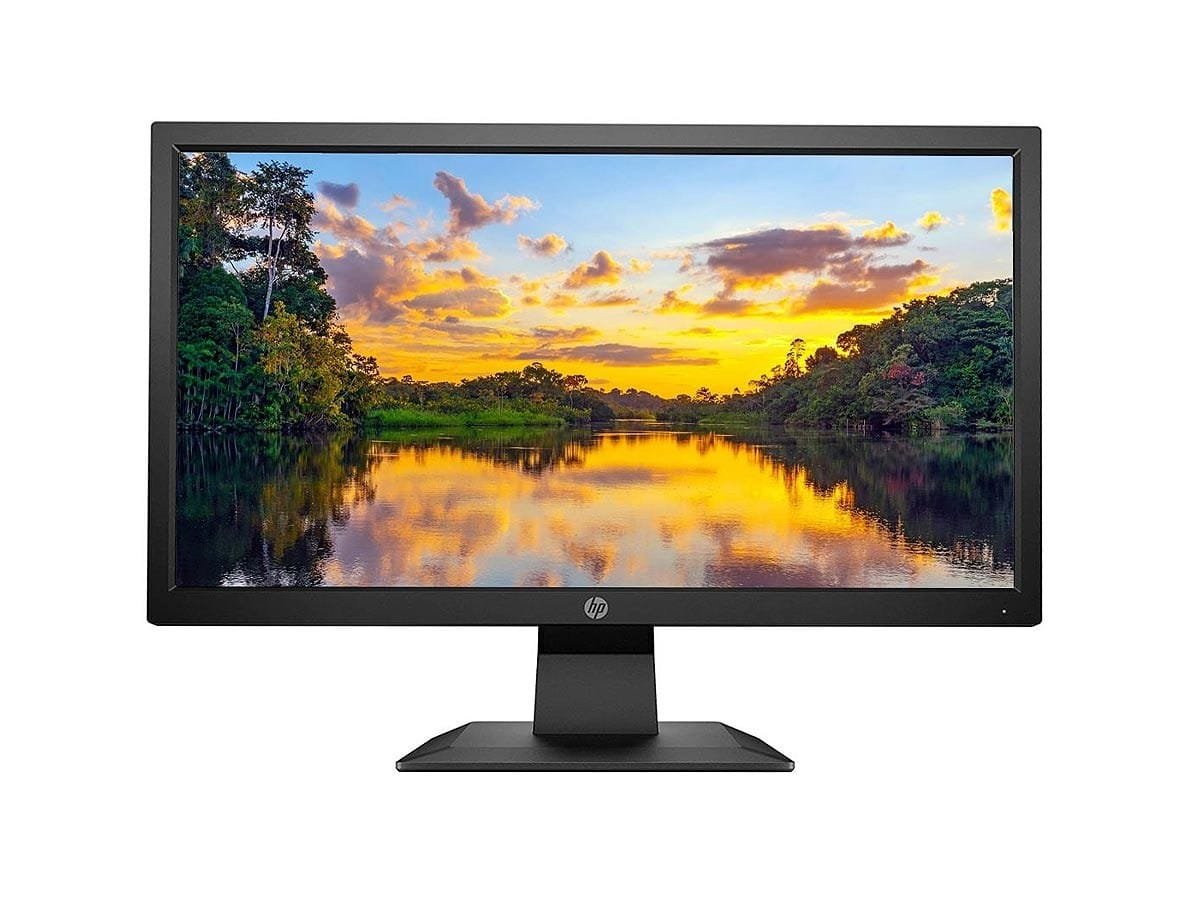 ECRAN HP 19.5 P204V
